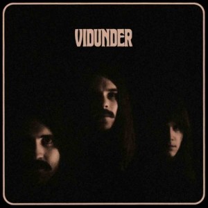 vidunder_vidunder