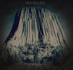 Ironbird